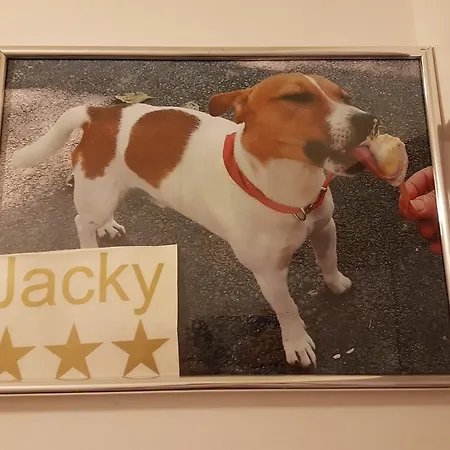 Jacky - City Centar Zágráb Kültér fotó