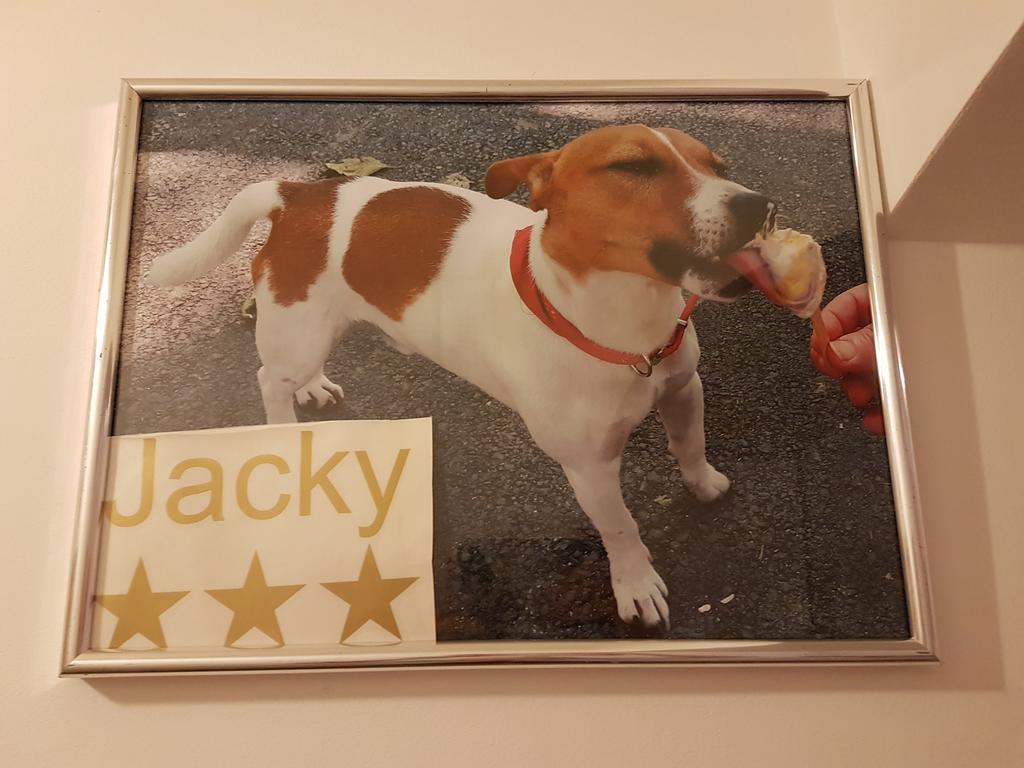 Jacky - Centar